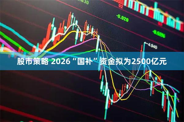 股市策略 2026“国补”资金拟为2500亿元